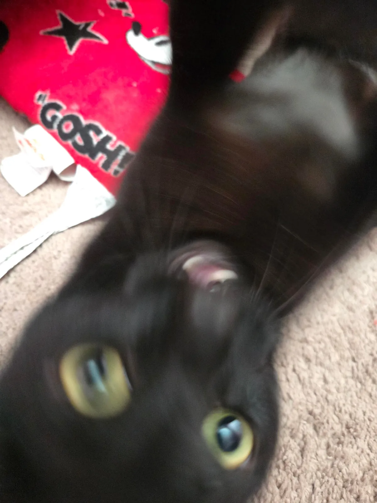 We holdin' hands &lt;3