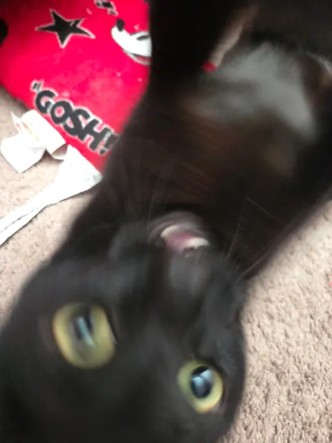 We holdin' hands &lt;3