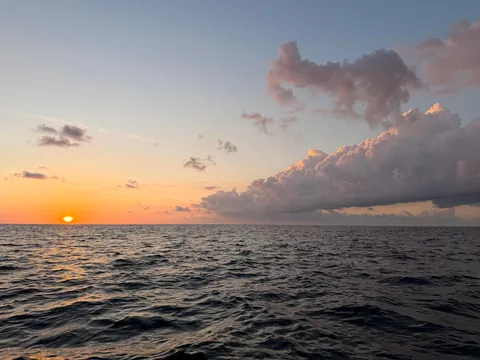 8 days vacation in Mauritius.