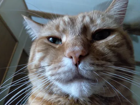 A photo of the guy who barfed on me at 4am while I was dead asleep