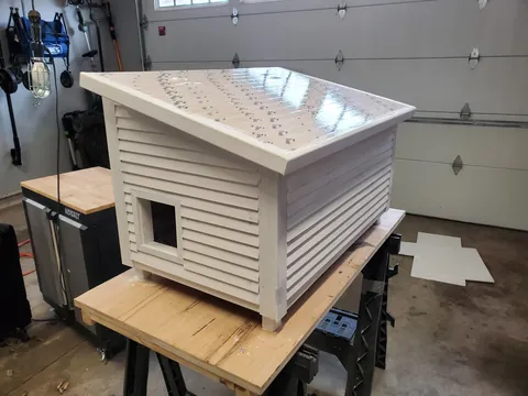 Upgrade for the neighborhood stray