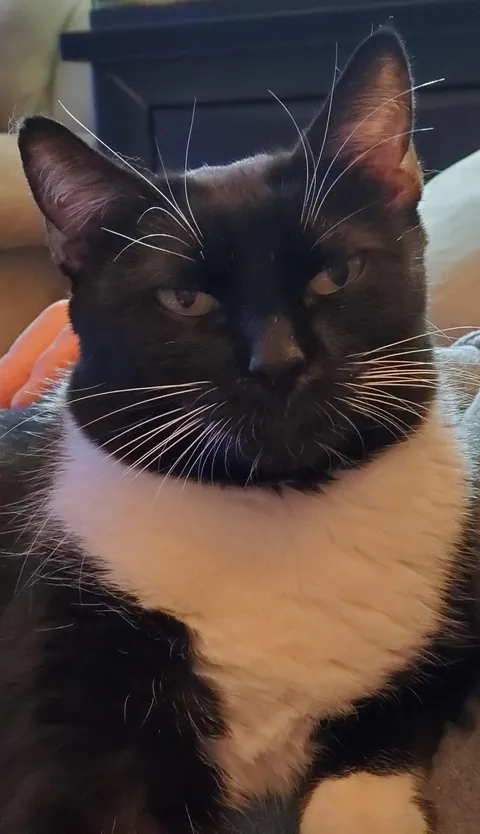 Resting bitch face. Everyday. 😅