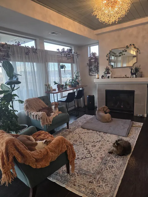 All of our animals enjoying some downtime.