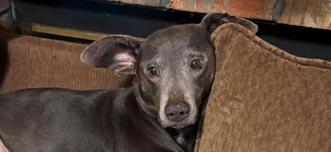 My momma says that I’m the babiest of all the baby boys.