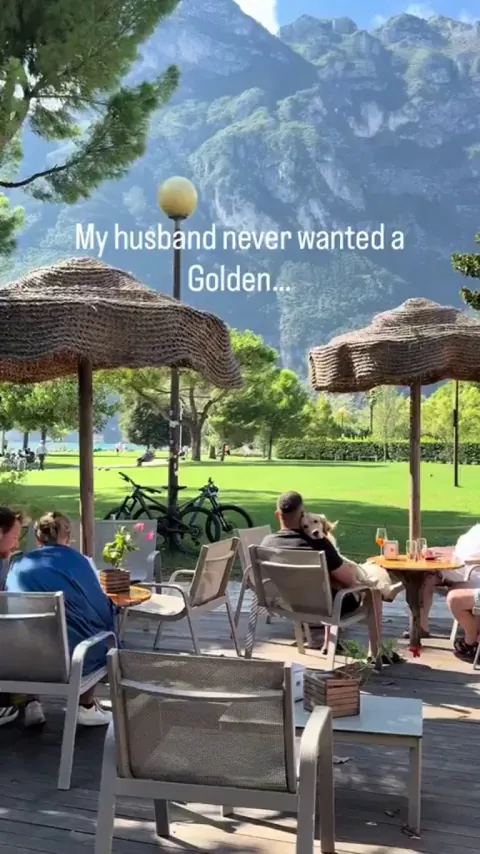 Just a doggo enjoying life