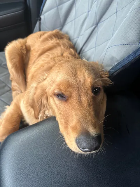 A story in 4 pictures