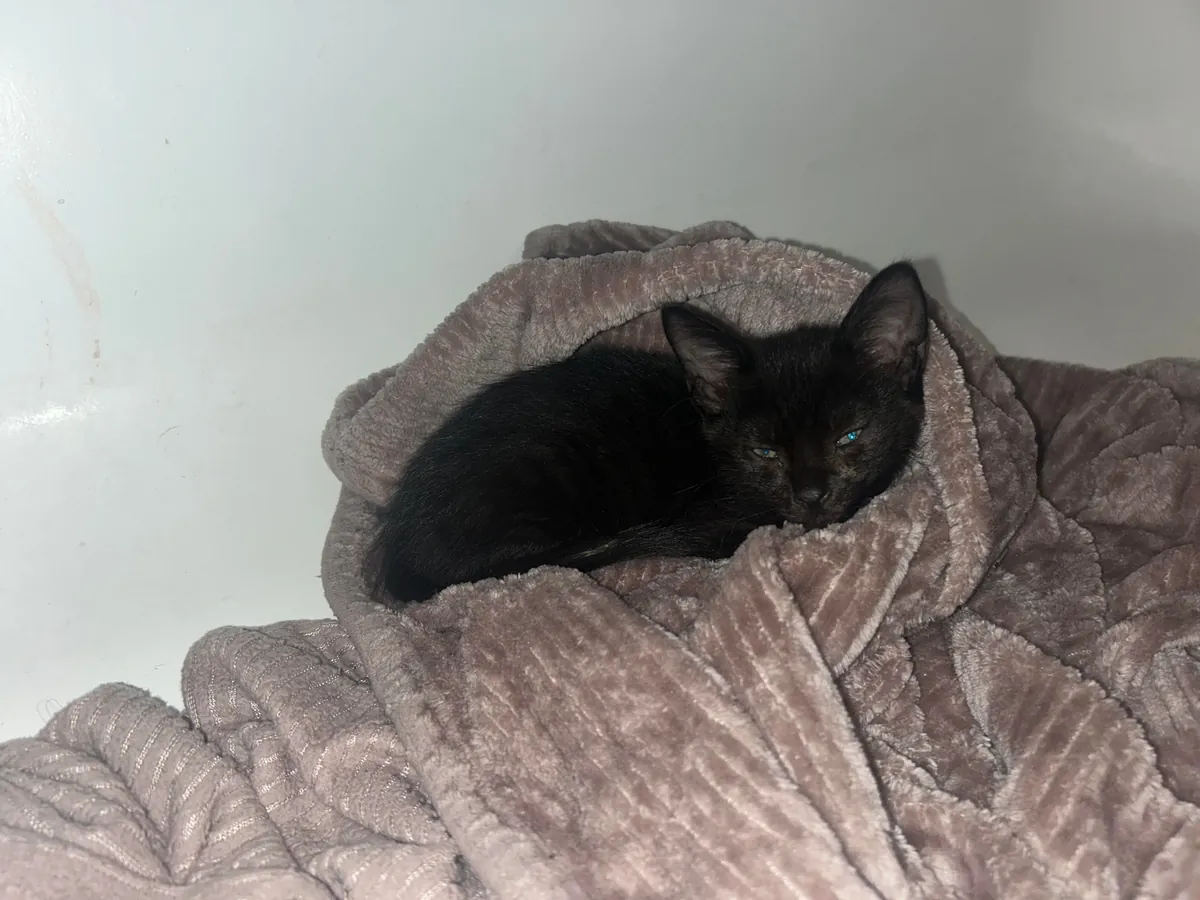 The CDS got me at a Jiffy Lube