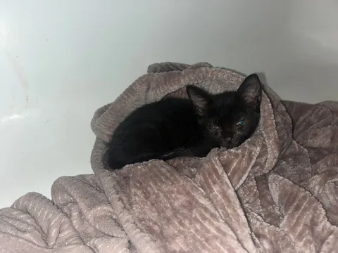 The CDS got me at a Jiffy Lube