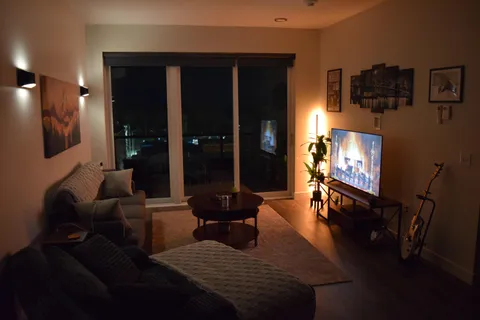 Living room shot of my first solo apartment