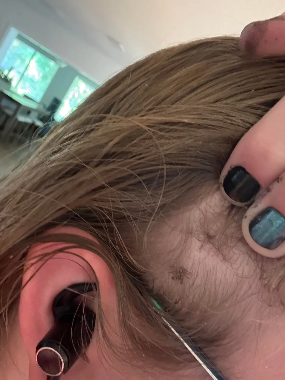 Was doing my nails and scratched my head… found a tick