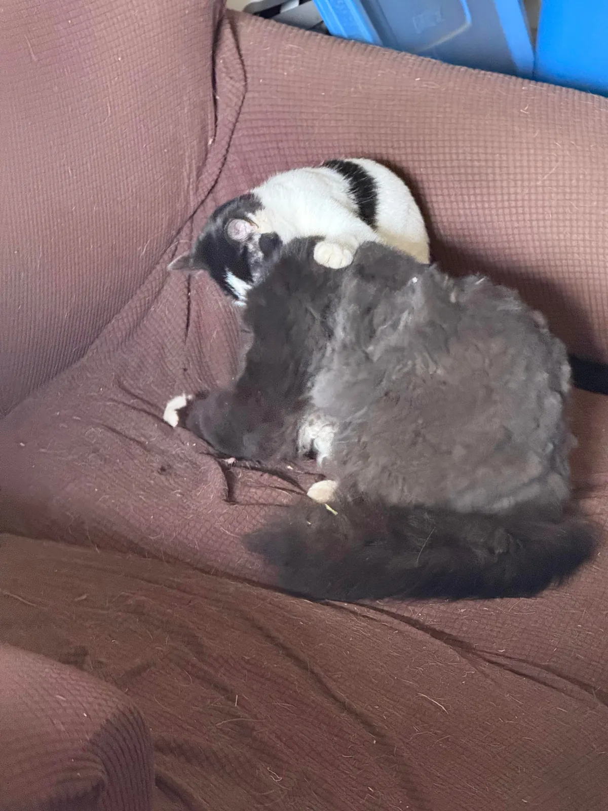 Pazuzu bothering Murphy when he was just trying to rest