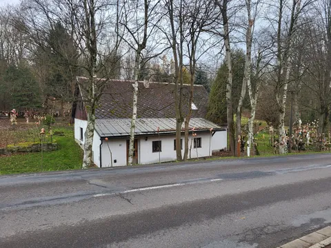 This house near my town. Many years ago it started "only" with hanged babies. Now there are heads on spikes and mannequins too.