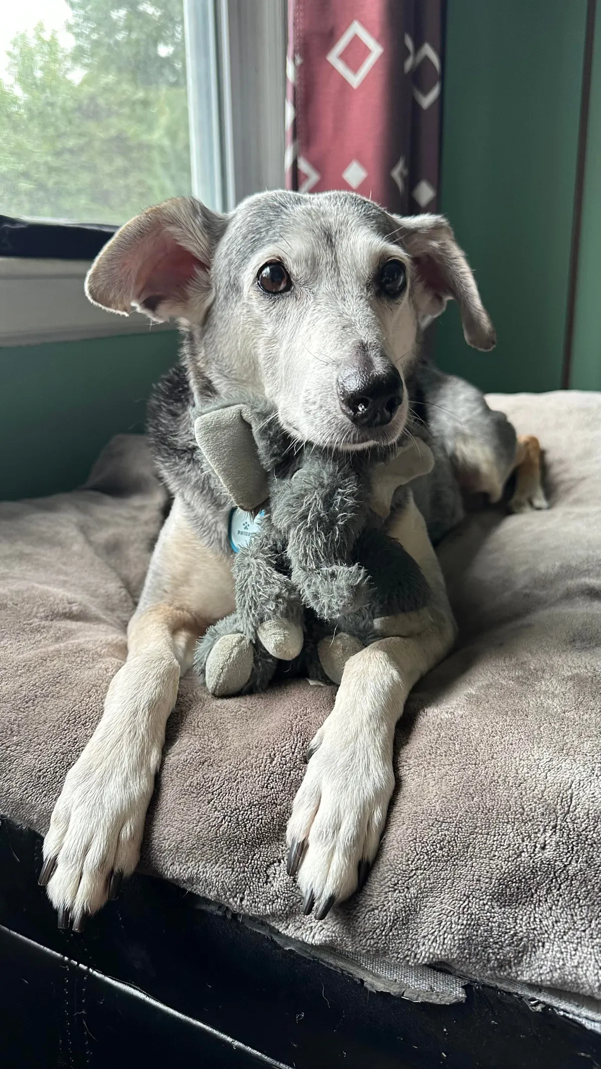 Taco is sending out the good vibes this morning!