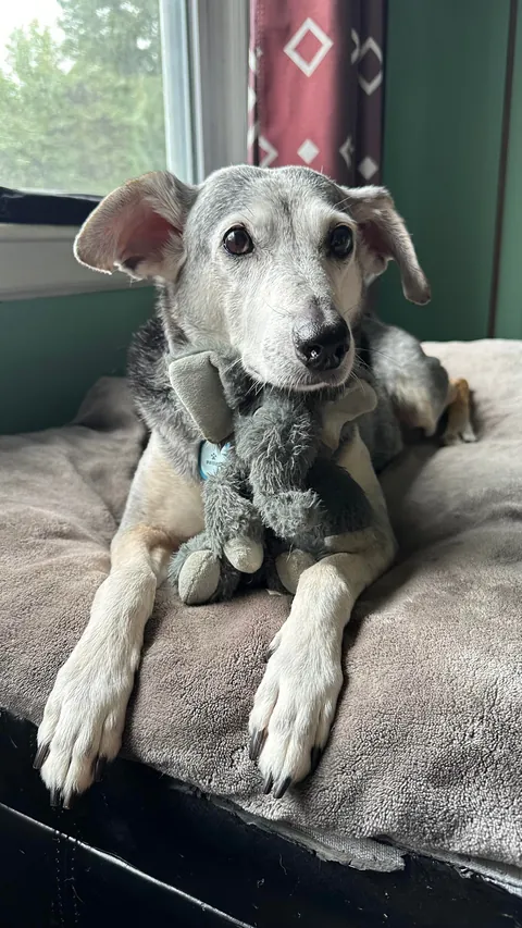 Taco is sending out the good vibes this morning!