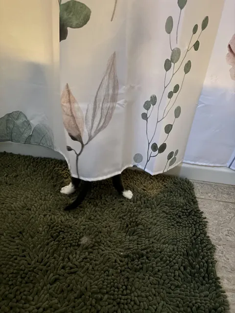 I posted our kitten a few days ago having a meltdown when he got locked in my office during an HVAC visit. Well, here he is crying at his dad to get out of the shower.