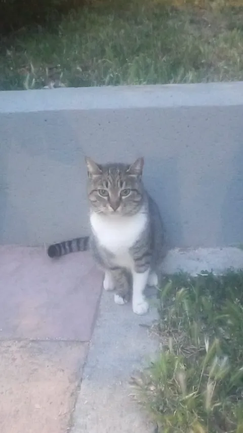 Please show her the love that she deserves. I'm utterly devastated ❤️🥺