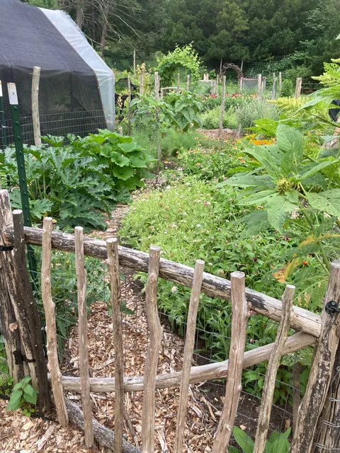 Some garden gate inspiration for winter