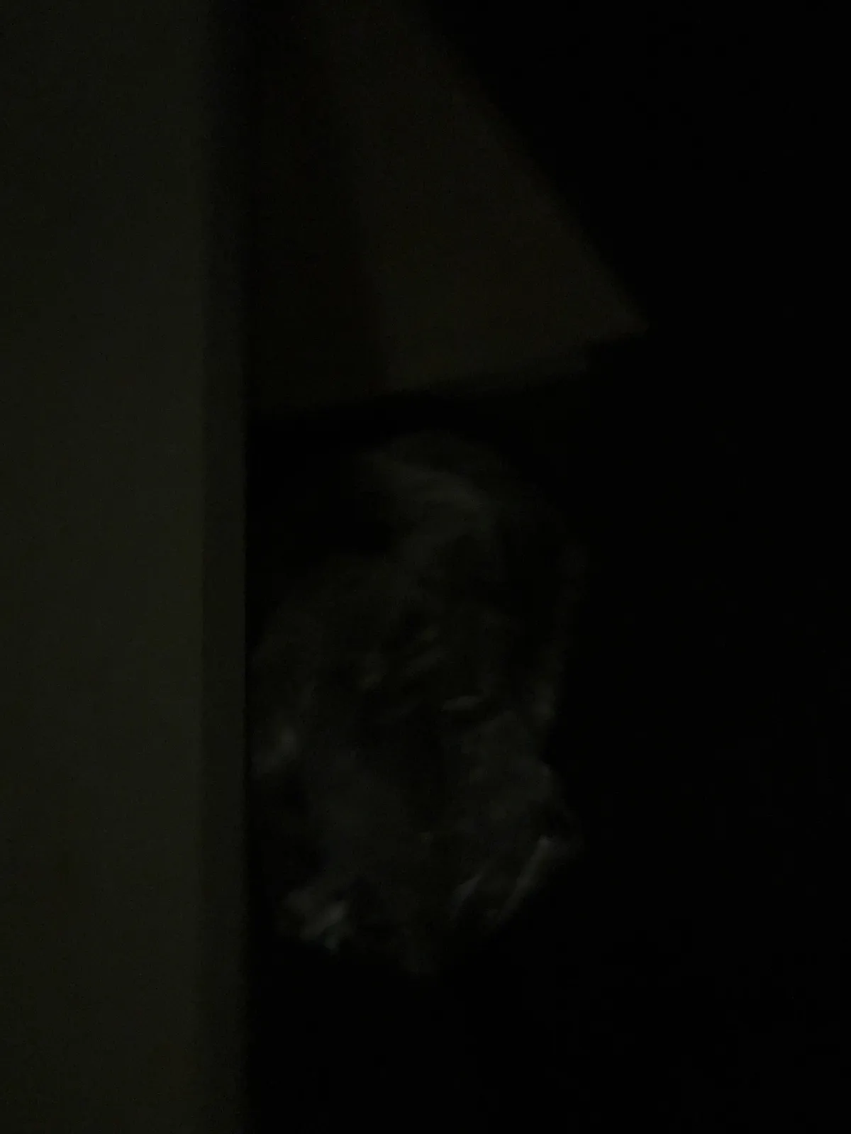 Woke up this morning with a new photo on my phone that was taken last night in my hotel room at exactly midnight. I have no idea what this is.