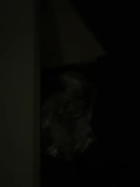 Woke up this morning with a new photo on my phone that was taken last night in my hotel room at exactly midnight. I have no idea what this is.