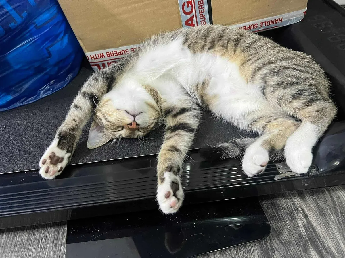 Only took a week for her to feel at home