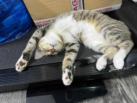 Only took a week for her to feel at home