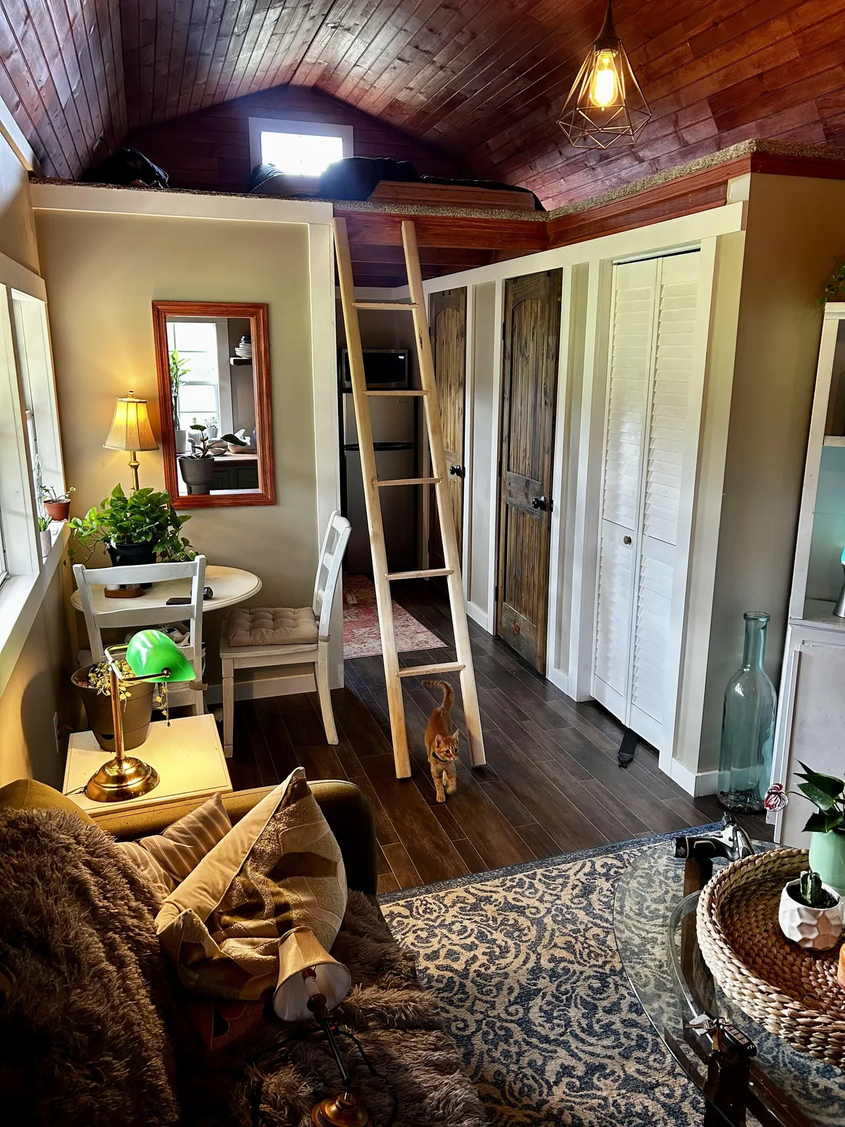 My son’s tiny home that he and I built last spring.