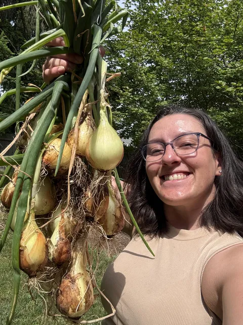 My first ever onion harvest! 🥳🧅