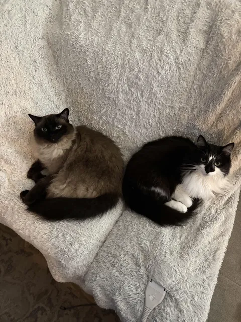 After almost two years, they’ve finally decided that they like one another.