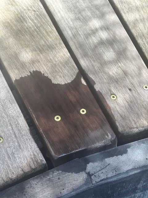 Accidental studio Ghibli cat