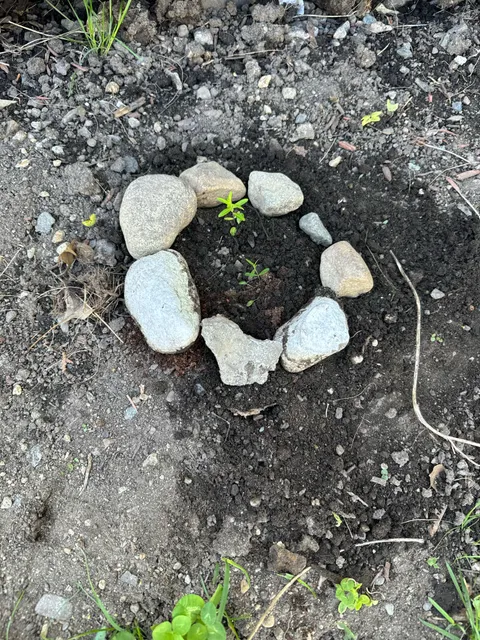 How I let my husband know something’s not a weed