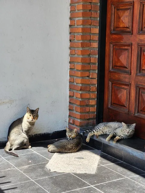 I came home and found this: