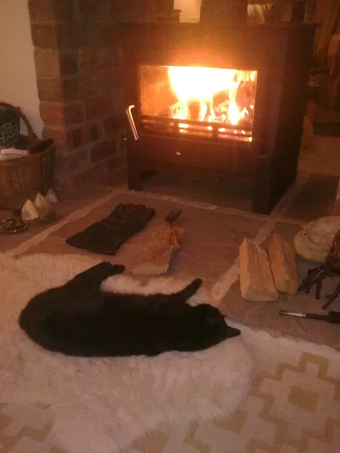 The Many Moods of Lola