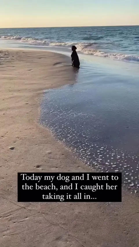 I don't know what she's going through, but same... 