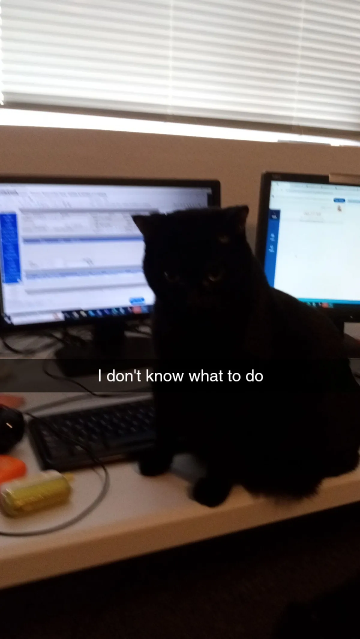 The post that changed my life and gave me my girl