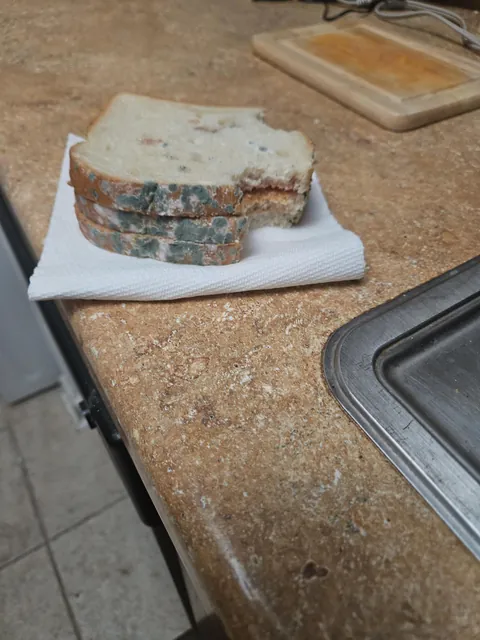 Never making a sandwich in the dark again...