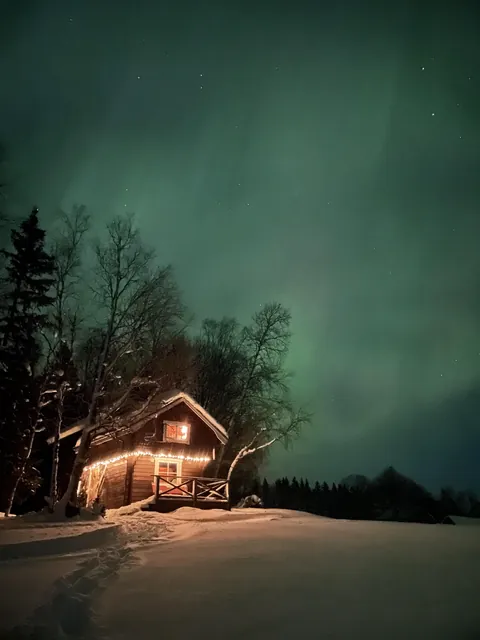Northern lights blessing on a winters night