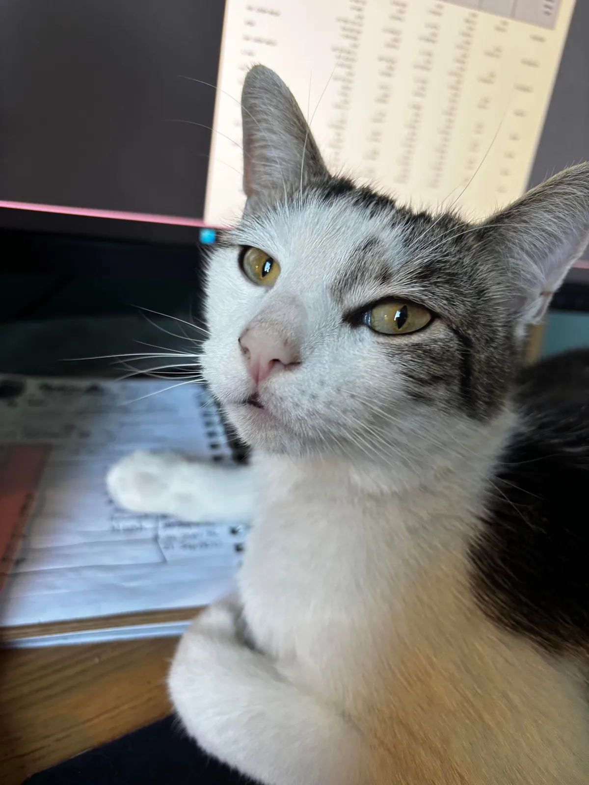 My beautiful baby died today