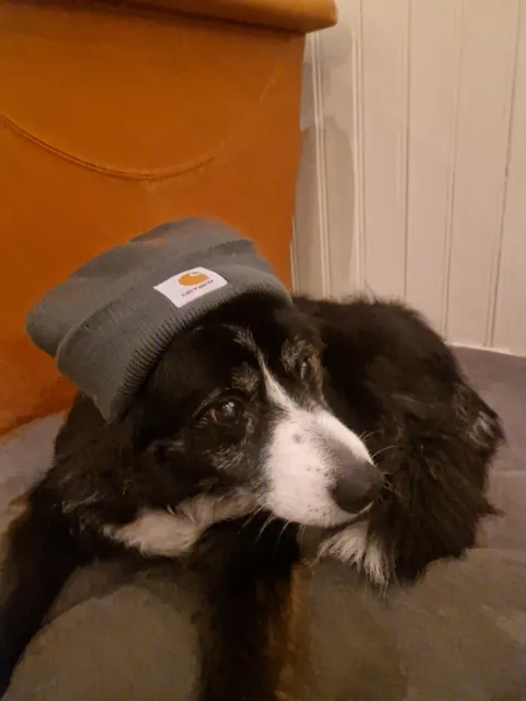 My best friend tessa turned 16 :)