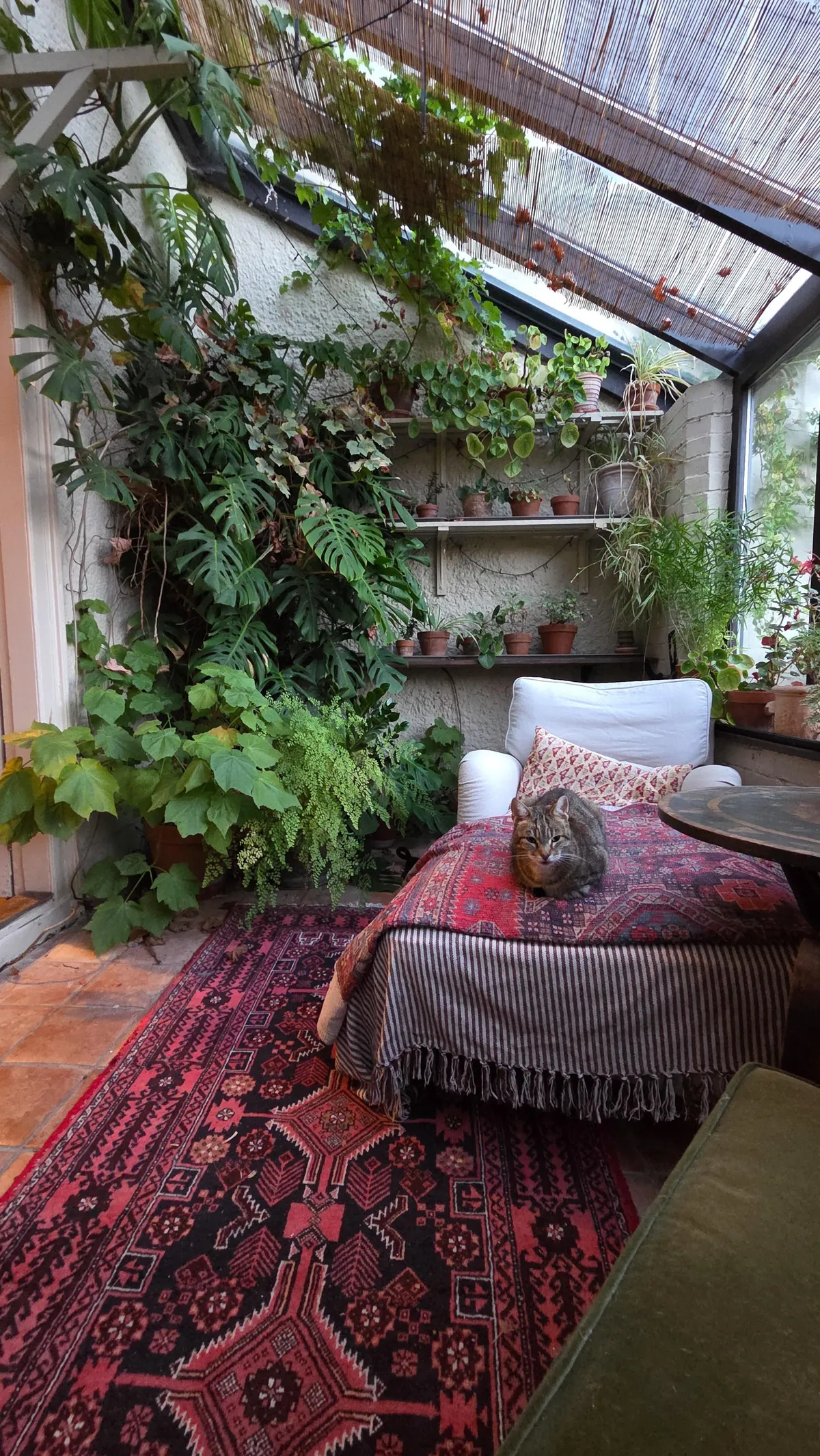 The best place to read a book