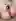 Help Dora find her way to orgasm