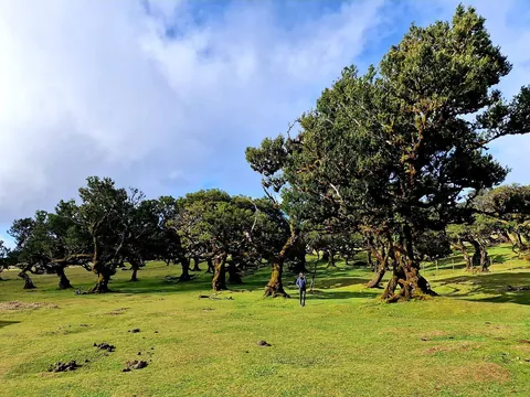 Traumhafte Madeira, Portugal
