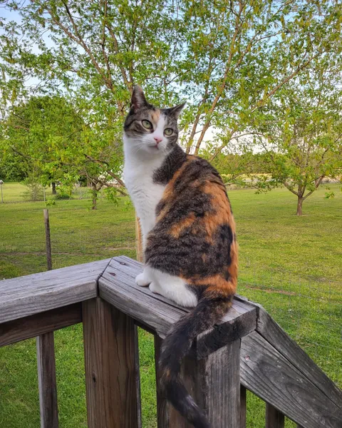 Shes posing for the camera