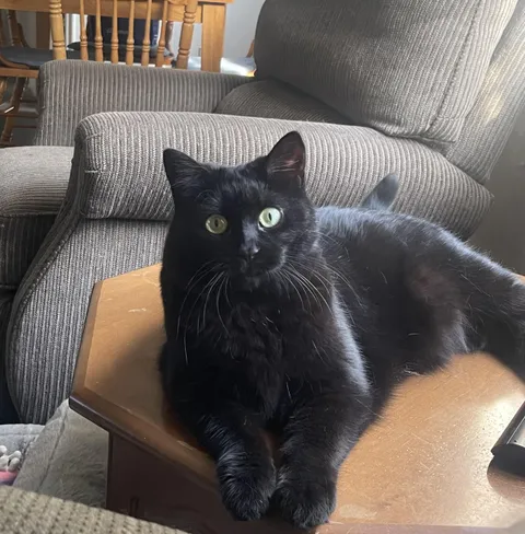 Does she even know it’s her birthday today?