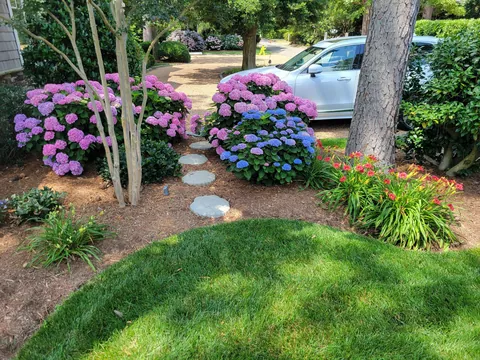 You fertilized, but did you properly prune?