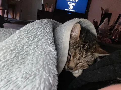 Had to send my 23 year old girl to sleep:(