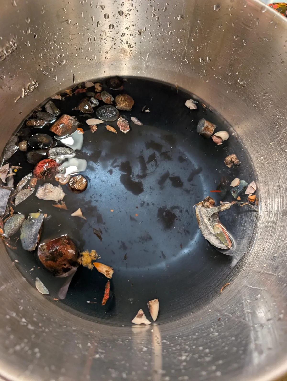 The water we used to clean wild mushrooms turned cyan