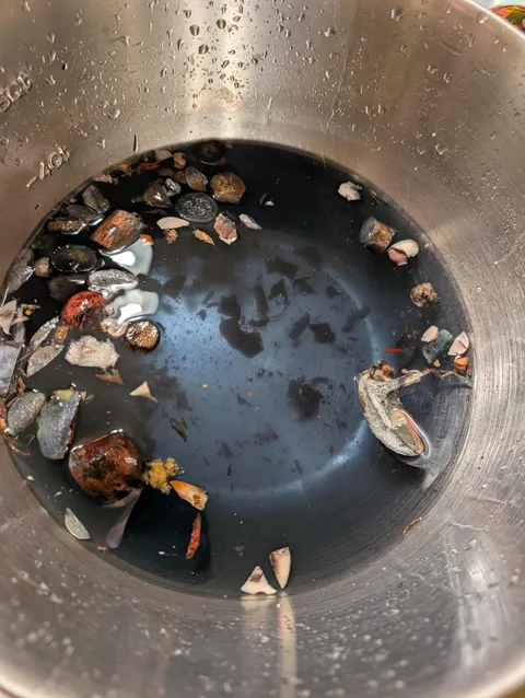 The water we used to clean wild mushrooms turned cyan