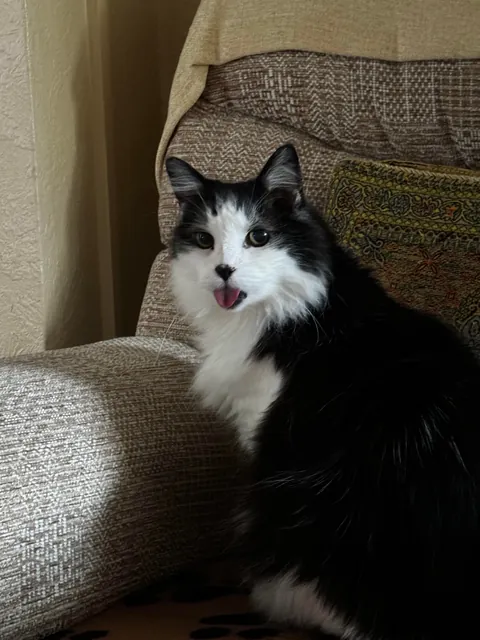 The ‘I woke up like this look’ - featuring 18 year old Wally