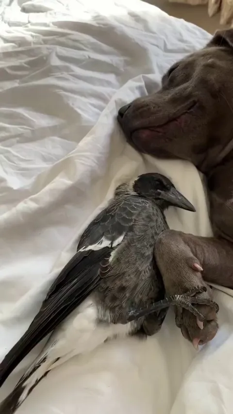 It’s a special friendship