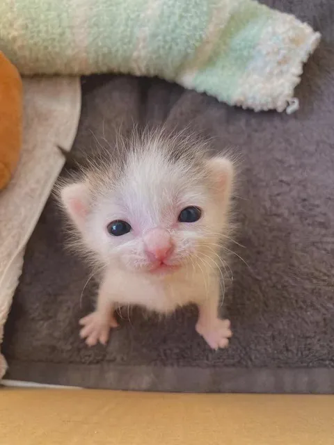 Bro is so clueless 🥺